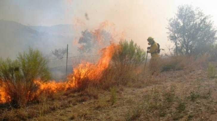 Disminuyen incendios forestales este 2019 en Sonora