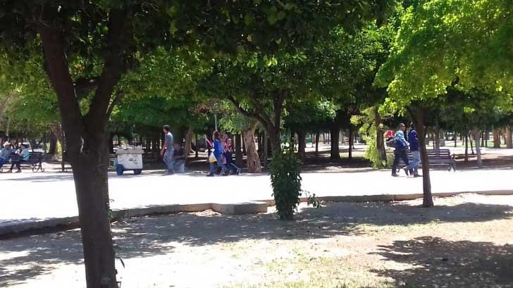 AUDIO | Estudiantes causan más daños al Parque Madero que los indigentes: Germán Cázares