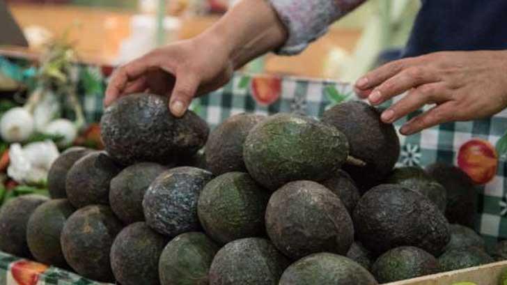 ¡Hasta 90 pesos vale el kilo de aguacate y limón!