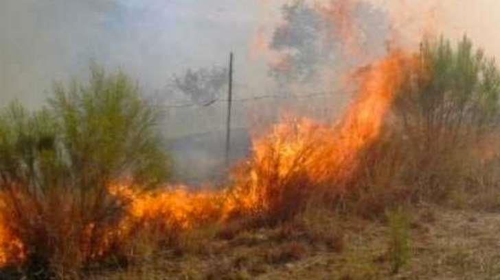 Registran más de 100 incendios por las altas temperaturas en Navojoa