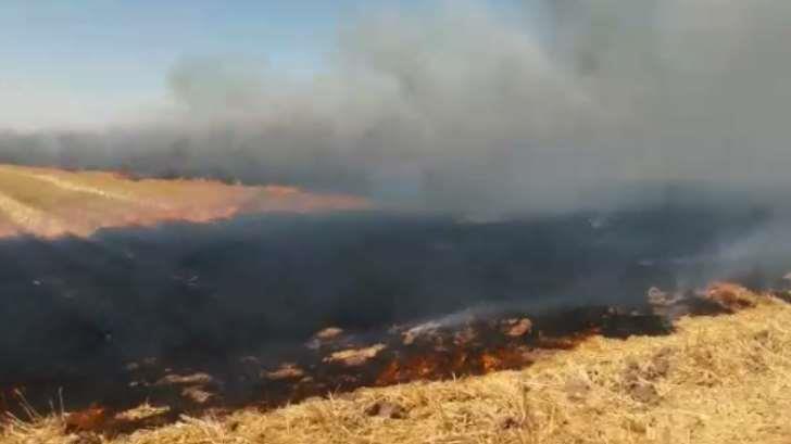 Este año no hubo tanta quema de gavilla en Etchojoa