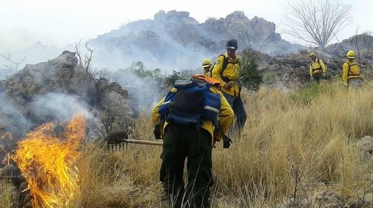 AUDIO | La Conafor ha registrado 62 incendios forestales en la presente temporada
