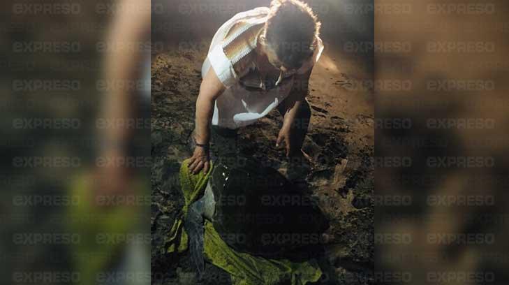 GALERÍA | Sale tortuga a desovar en playa de Bahía de Kino
