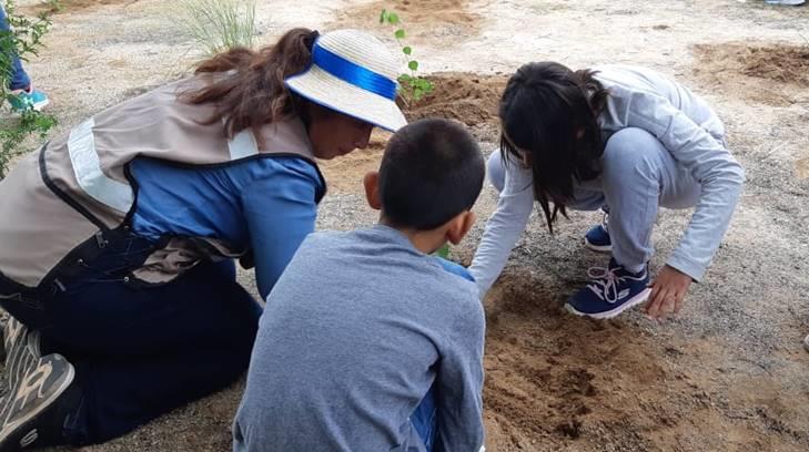 AUDIO | Instalan en el Centro Ecológico de Sonora un jardín para insectos y animales polinizadores