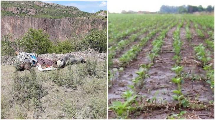 Hallan a dos encobijados en Huásabas y peligra el ciclo agrícola por falta de agua: Expreso 24/7