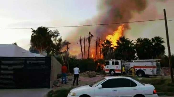 Bomberos sofocan incendio forestal en la colonia de Femoza de Guaymas