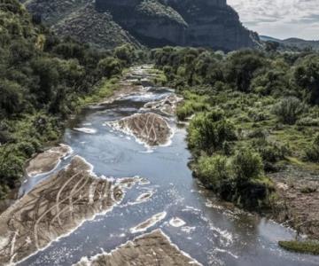 Derrame del Río Sonora evidencía debilidades en la responsabilidad ambiental
