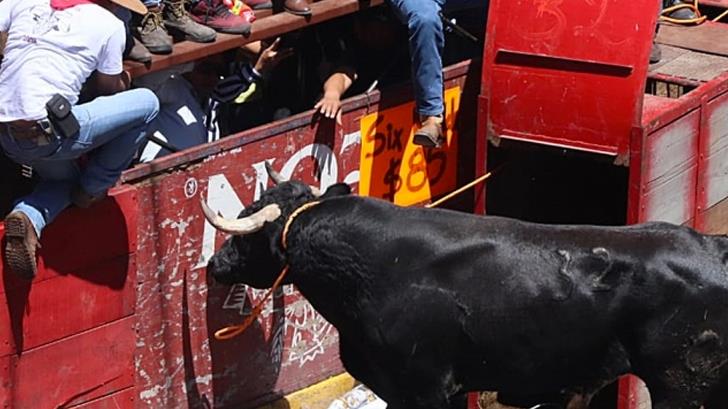 Nueve lesionados deja embestida de toro en Tlaxcala