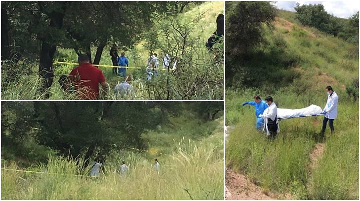 Hallan el cuerpo sin vida de un hombre colgando de un árbol a las afueras de Nogales