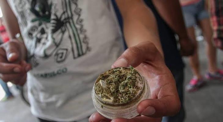 Padres de familia se oponen al uso lúdico de cannabis