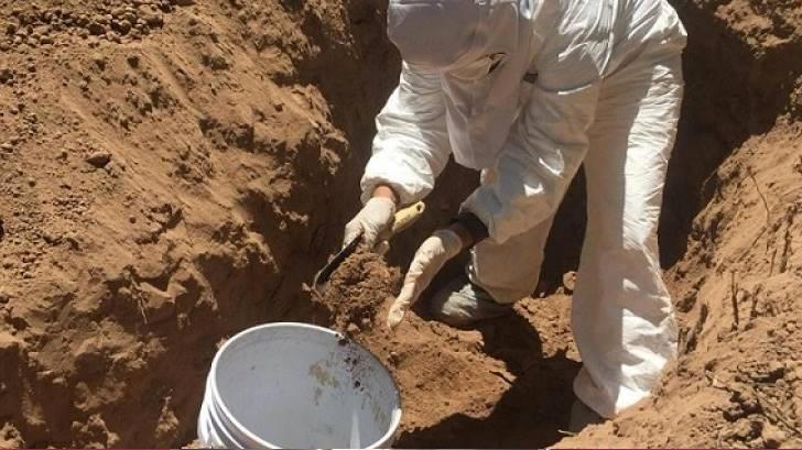 Crecen número de fosas clandestinas y cuerpos encontrados: Segob