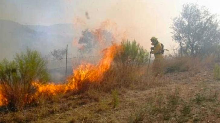 Extinguen 7 incendios forestales en NL