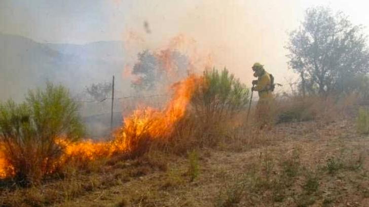 Incendio forestal arrasa con sierra de Nuevo León