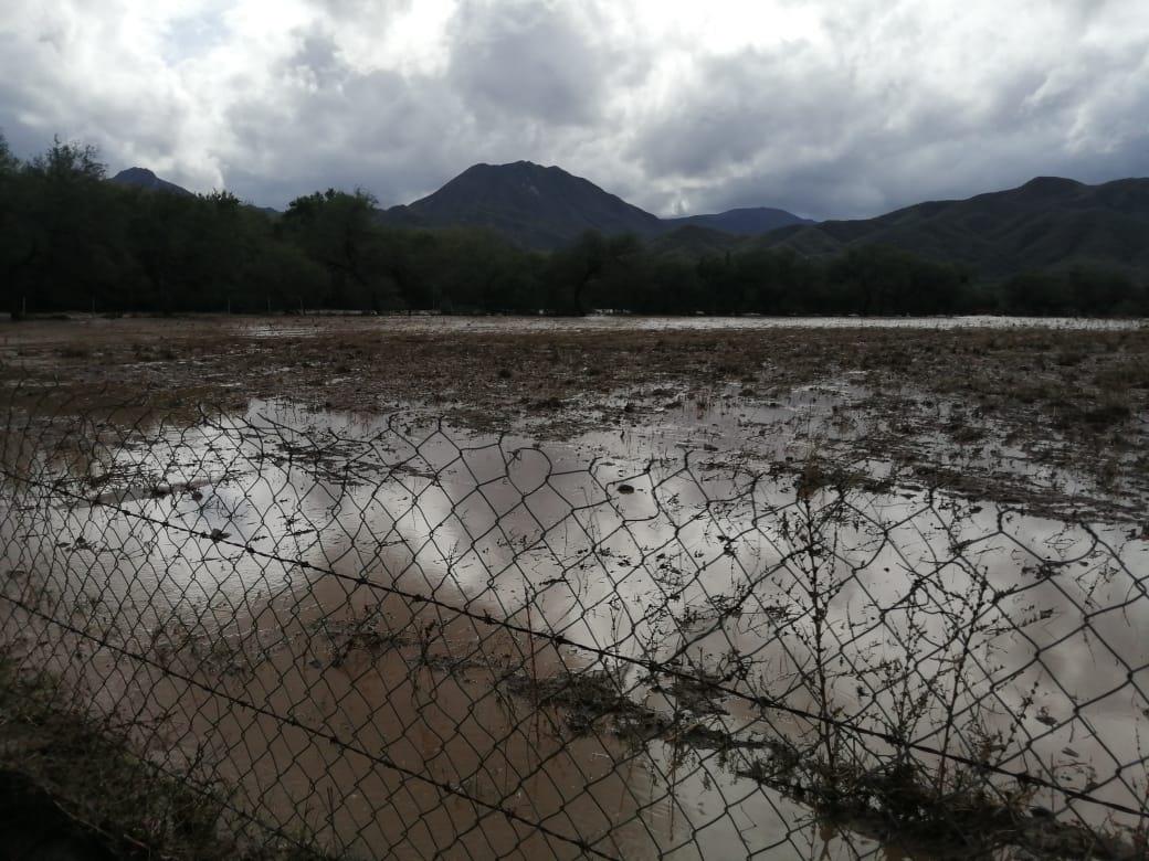Sonora y su ganadería pone sus esperanzas en la temporada de huracanes