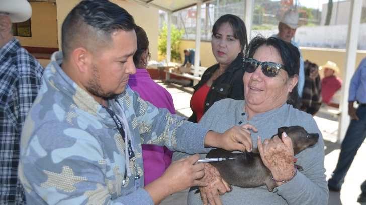 Salud Sonora continuará con las acciones de vacunación antirrábica
