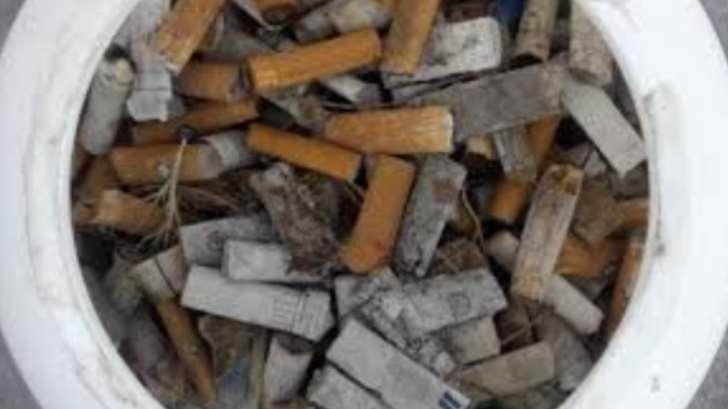 Alumnos de Unison recolectan casi un millón de colillas de cigarro