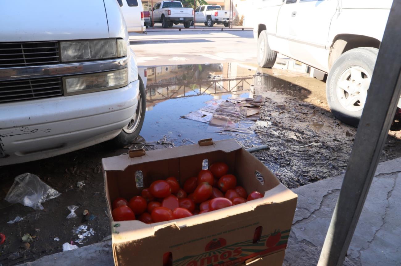 Trabajamos con puro mejoralito: señala Sutcea ante emergencia sanitaria en Guaymas