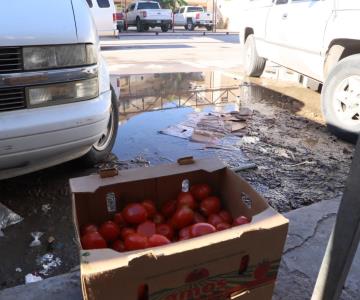 Trabajamos con puro mejoralito: señala Sutcea ante emergencia sanitaria en Guaymas