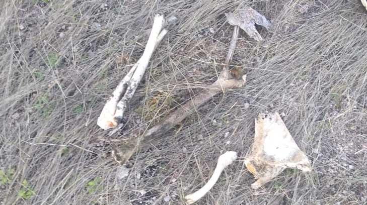 Madres Buscadoras hallan restos óseos en la colonia Invasión Altares