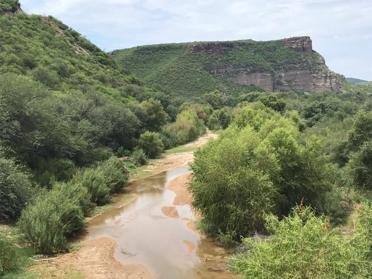 Conagua le da seguimiento a las aguas del Río Sonora