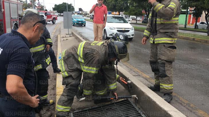 VIDEO | Bomberos rescatan a una persona atrapada en una alcantarilla pluvial en HMO