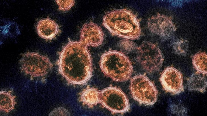 Fallece el primer niño por coronavirus en Estados Unidos 