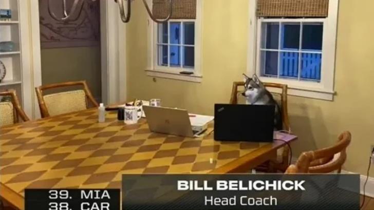 VIDEO | Bill Belichick deja a su perro de ‘encargado’