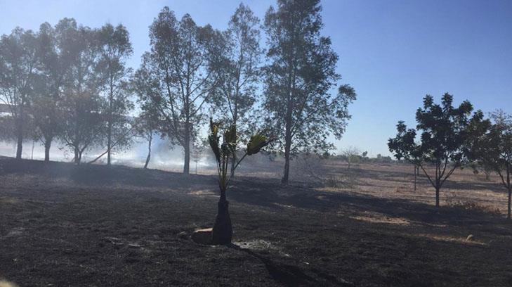 Detienen a hombre por provocar incendio en predio de Navojoa