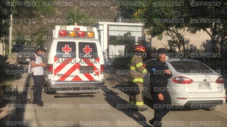 Ataque de abejas deja 2 lesionados en la colonia Tiro al Blanco