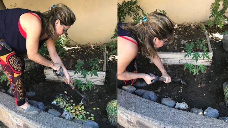 Residuos orgánicos en el jardín, una tarea divertida y ecológica en casa