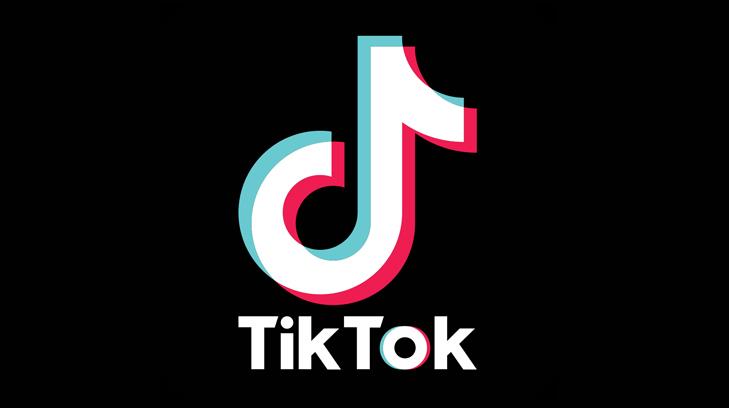 TikTok, la más popular durante la cuarentena