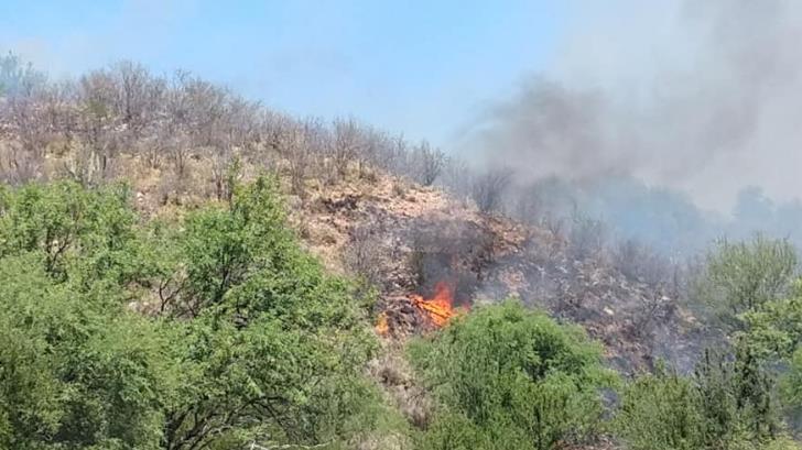 Incendio amenaza varias comunidades de Opodepe