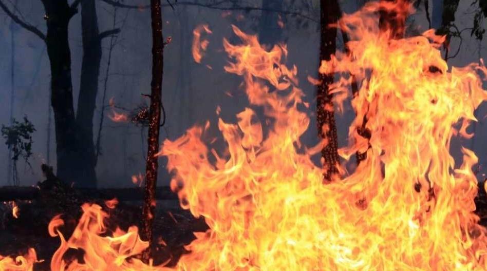 Auxilia Sedena a seis estados con problemas de incendios forestales