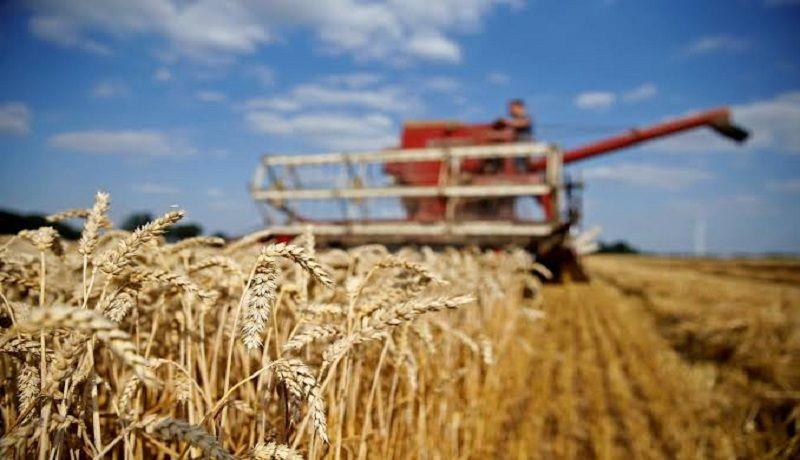 Lanzan programa de estímulos para productores agrícolas