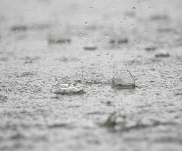 Primeras lluvias del 2022 para Sonora llegarían antes de lo esperado