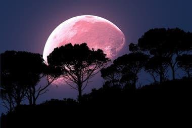 Luna de Fresa: así será el eclipse del 5 de junio