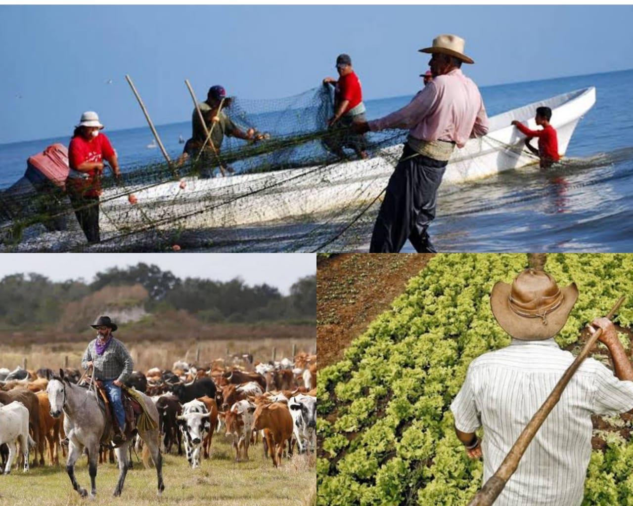 Se le otorgará apoyo al sector primario