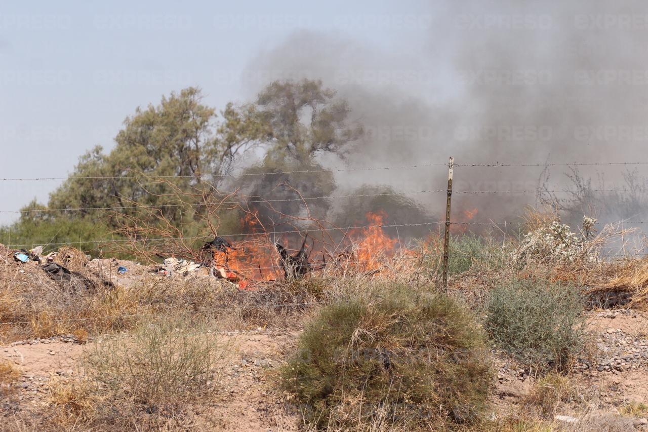Zacate africano y humanos propician incendios