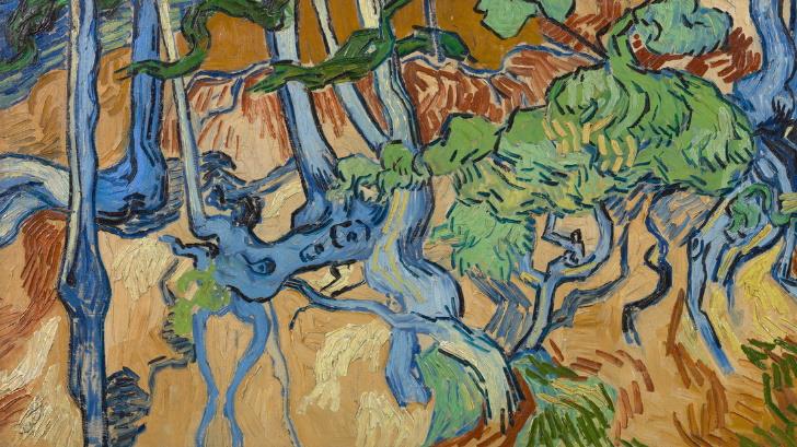 Fotos revelan el último lugar donde Van Gogh pintó su última obra