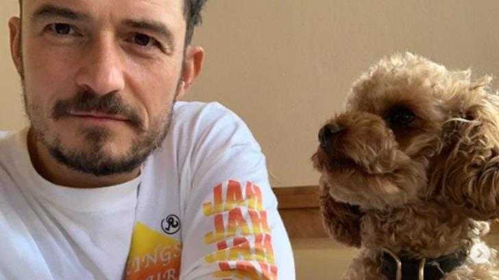 Orlando Bloom, devastado por perder a su perro