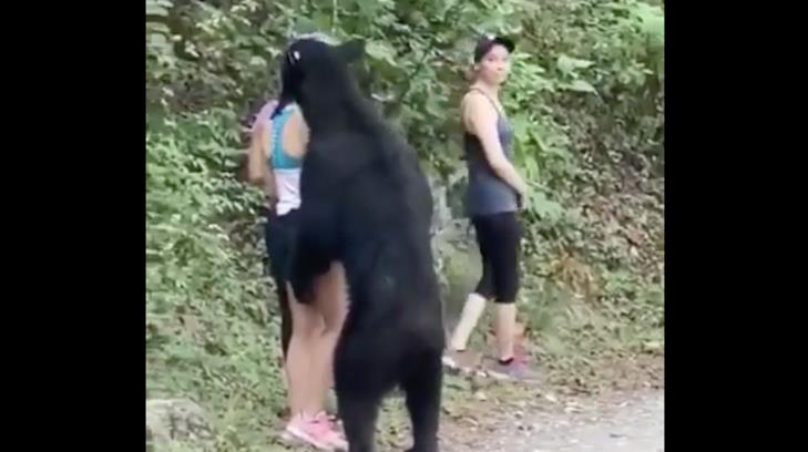 VIDEO | Excursionistas se salvan de las garras de un oso en Nuevo León
