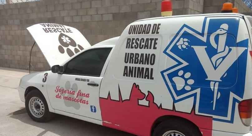 Organizan concierto para adquirir nueva ambulancia de Rescate Animal para Hillo