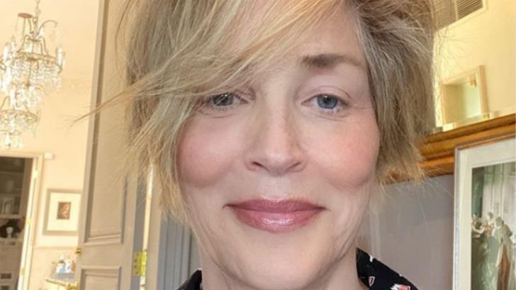 Sharon Stone sorprende a sus fans con nuevo cambió de look