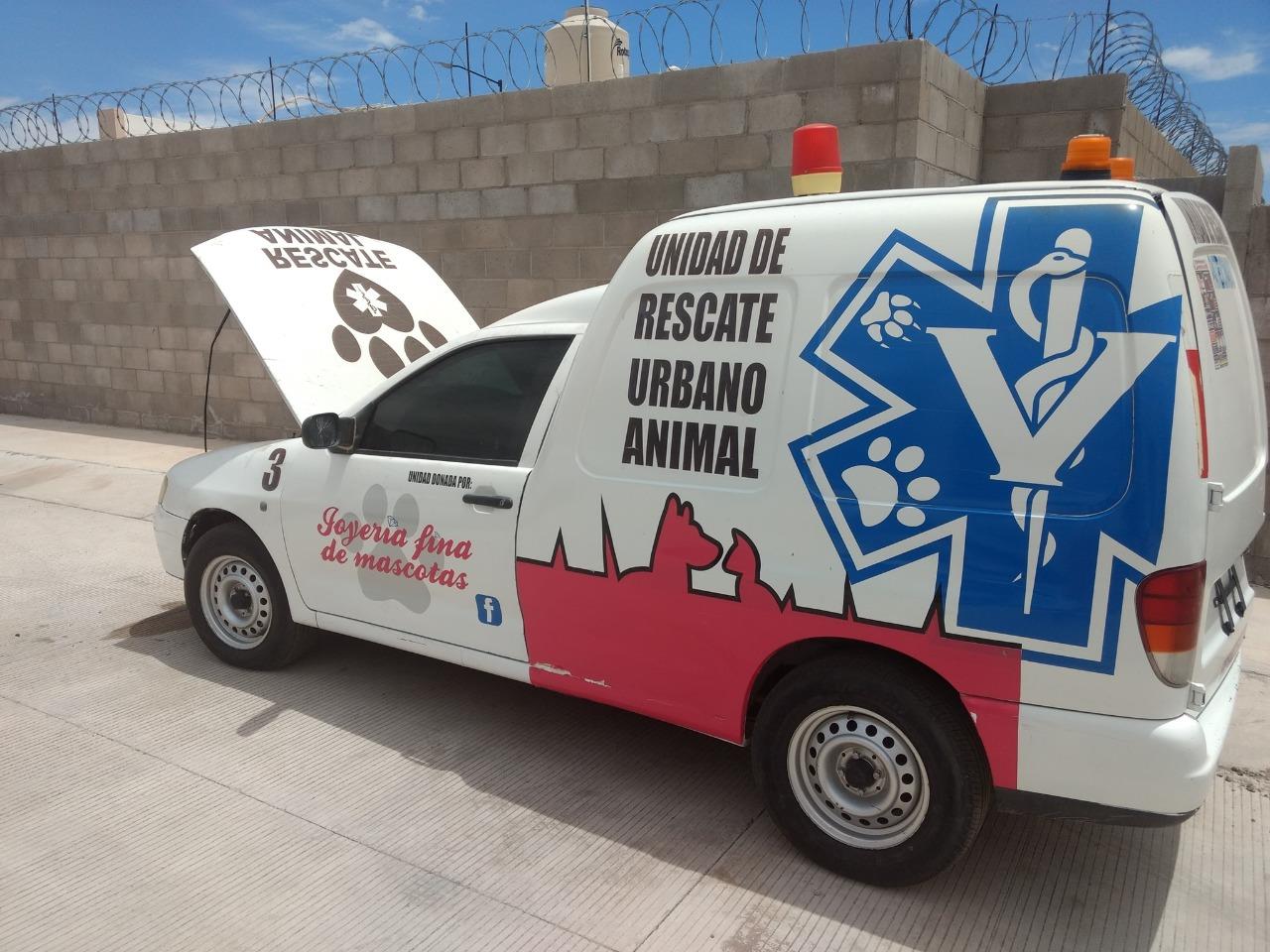 Sin importar que, Rescate Animal Hermosillo, atiende los llamados de ayuda