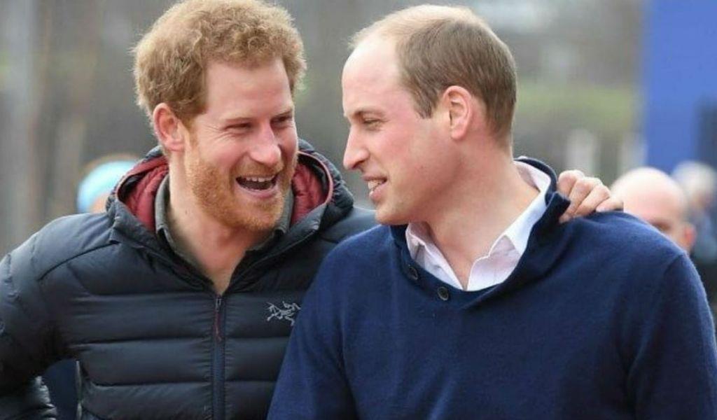 Acusan a William y Harry de robar fondos de fundaciones