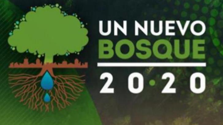 Conafor Sonora se une a la campaña ‘Un Nuevo Bosque 2020’