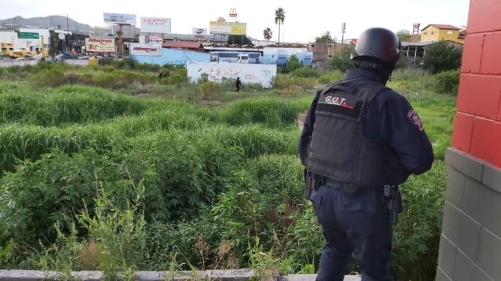 Tras operativo, arrestan a dos con droga en predio de Nogales