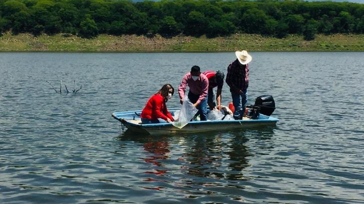 Apoya Sagarhpa a pescadores de embalses