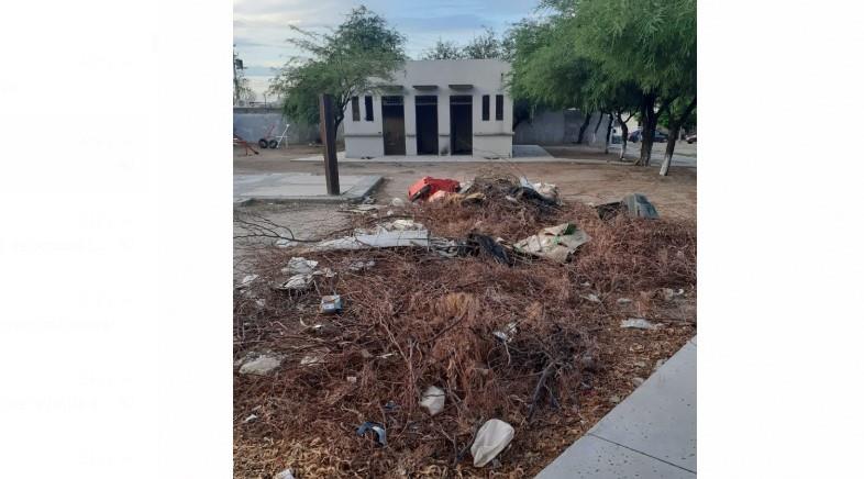 Vecinos del norte de la ciudad piden les echen la mano con un parque