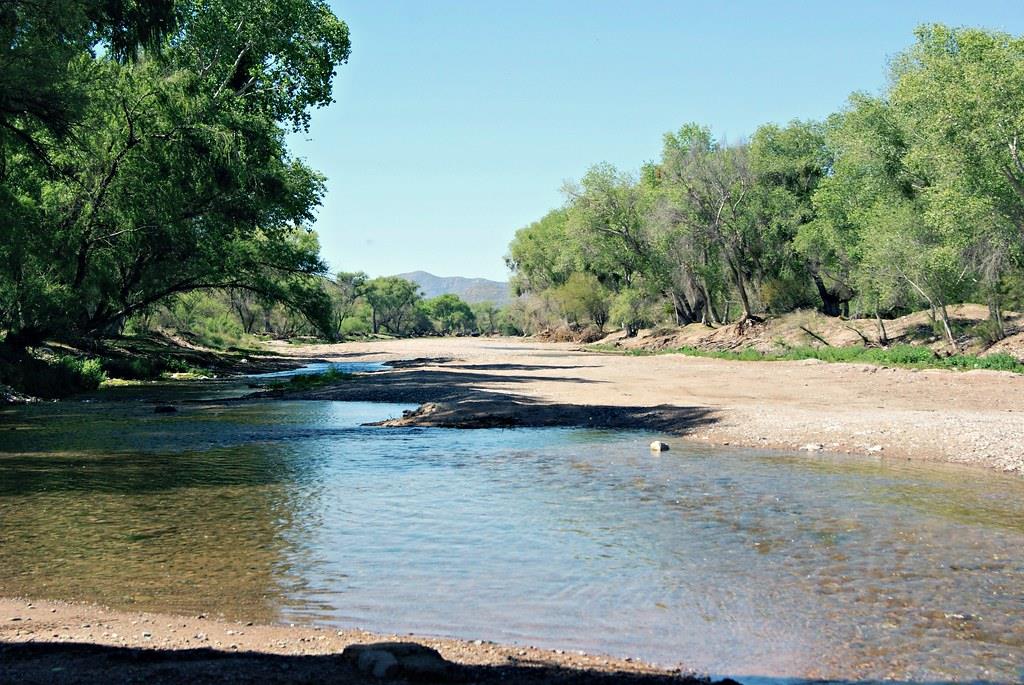 Levadura podría ayudar a remover metales pesados de los ríos